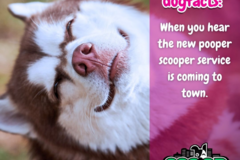 Request Quote: ScoopTown - Central PA Pooper Scoopers - Silver Spring, PA