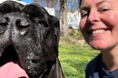 Request Quote:  Holistic Pet Health Coach - Canine Nutritionist - Nationwide