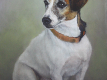 Oil painting of a Jack Russel terrier