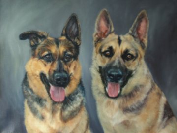 Oil painting of two German Shepherds