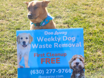 Friendly dog with our Doo Away yard sign