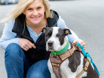 Pet Psychic Fairfield Connecticut