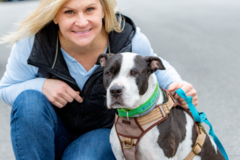 Request Quote: Animal Communicator - Pet Psychic, Medium, Online - Nationwide