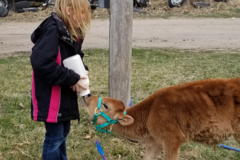 Request Quote: Lizzy Salmon - Animal Behaviorist and Dog Trainer - Central City, NE