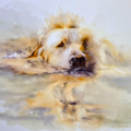 Original Watercolor Pet Portraits - Nationwide