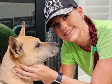 In Home Pet Sitting Plantation Florida