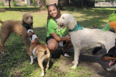 Request Quote: Pack Nine - Houston Dog Care Services - Houston, TX