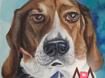pet portrait of a dog