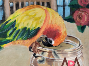 bird pet portrait