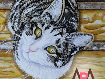 another cat pet portrait