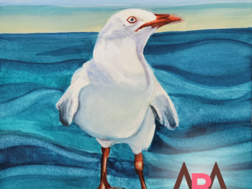another bird pet portrait