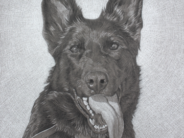 Jet 16x20"