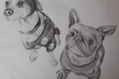 Request Quote: Custom Pet Portrait Commission  - Nationwide