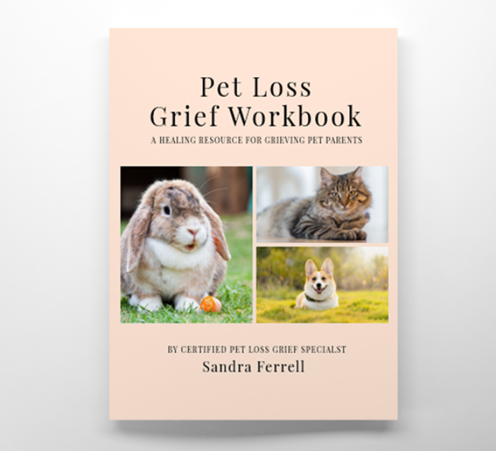 Palliative Home Care, Grief and Bereavement: A mother's