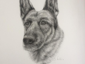 Pet Portrait Artist Vermont
