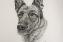 Request Quote: Custom Pet Portrait and Wildlife Artist - Nationwide