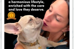Request Quote: Supporting Pets and Guiding Owners - Holistic Pet Care  - Nationwide