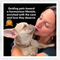 Supporting Pets and Guiding Owners - Holistic Pet Care  - Nationwide