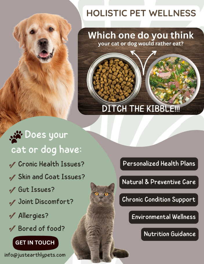 Healthful Dog Volume 3 Issue 2: The UKs No 1 Holistic Pet