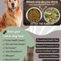 Holistic Pet Health Coach  - Nationwide