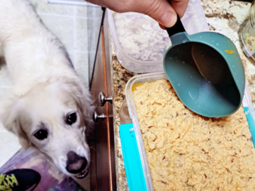 My girl Luna excited for her homemade dinner!