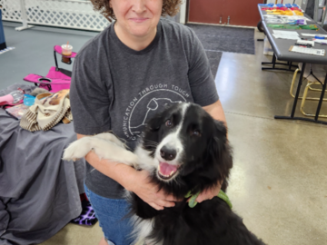 Animal Massage Illinois
