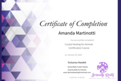 Request Quote: Best Your Pet's Well-Being | Gentle Distance Animal Reiki - Nationwide