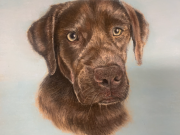 Custom Pet Portrait in Pastel