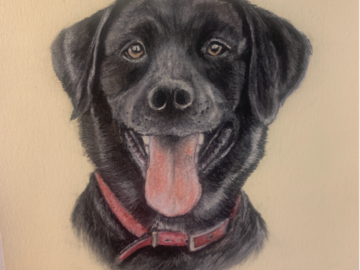 Custom Pet Portrait in Pastel