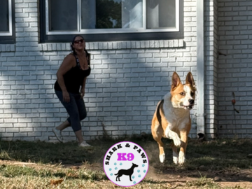 Seek games with Freyja