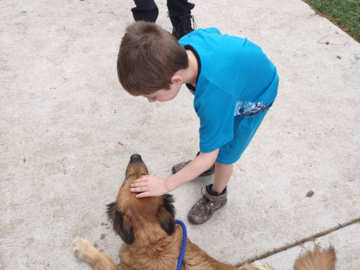 Teach kids & dogs to co-exist