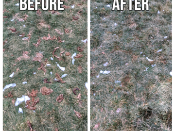 Before and After clean up picture
