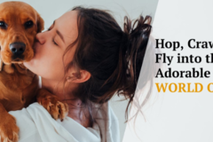 Request Quote: The Pet World - Nationwide