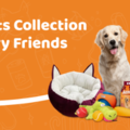 BlazyCart - Your Trusted Online Pet Store for Toys - San Francisco, CA