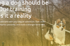 Request Quote: Dog Magnet Training - Salt Lake City, UT
