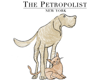Animal Nutritionist New York City NY