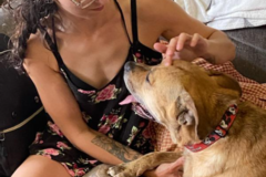 Request Quote: Wholistic Hounds - Animal Communication Energy Medicine  - Nationwide