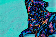 Request Quote: People and Pet Custom Portraits by Jon Kittleson  - Nationwide