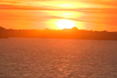 Request Quote: Long Distance and In-Person Animal Reiki - Sebastian, FL