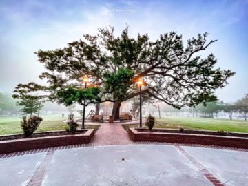 We Proudly Serve Long Beach Mississippi