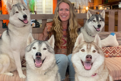 Request Quote: Pawsitive Care New York - Canine Reiki  - Croton-On-Hudson, NY