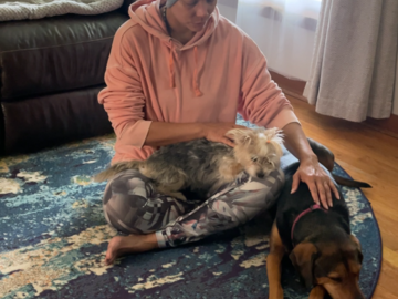 Reiki is relaxing for Daisy and Scout as they learn how to blend into a new household together.