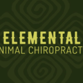 Kristin - Traveling Animal Chiropractic - Pensacola, FL