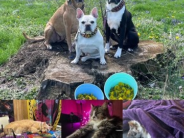 all the kids