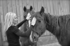 Request Quote: Pemf Love - In Depth Animal Reiki Energy  - Nationwide