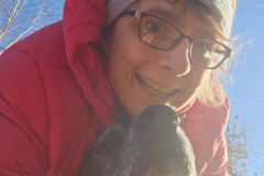 Request Quote: Critter Pals In Home Pet Sitting  - Nixa, MO