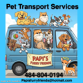 Papi's Furry Friends Pet Transport Services  - Bel Air, MD