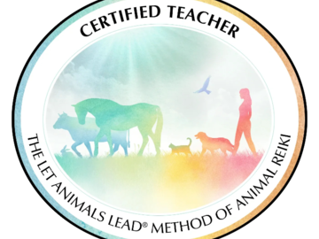 Teacher Certification