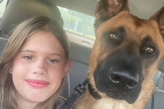 Request Quote: Reactive k9 Academy - Dog Training - Edmond, OK