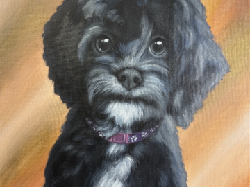 A 16"x20" pet portrait painting of a black and white dog with an abstract brown, tan and white background.